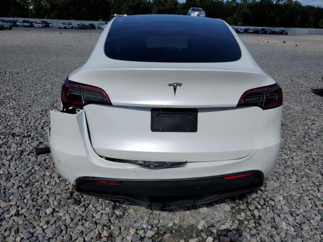 2025 TESLA MODEL Y #3296320480