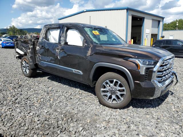 2025 TOYOTA TUNDRA CREWMAX PLATINUM 5TFMA5DB5SX271783