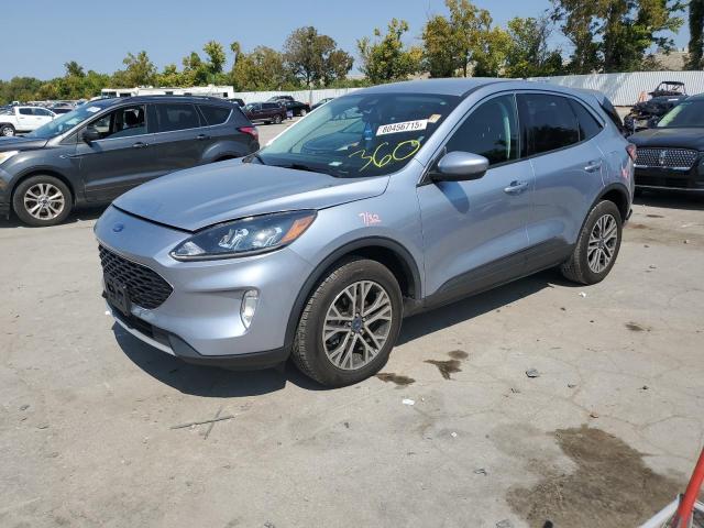 Global Auto Auctions: 2022 FORD ESCAPE SEL