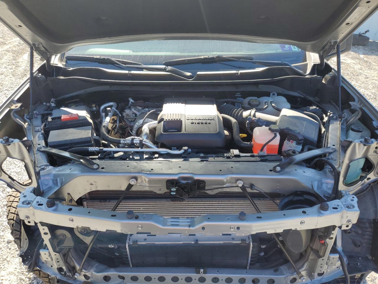 Lot #3273933784 2024 CHEVROLET SILVERADO K1500 TRAIL BOSS CUSTOM