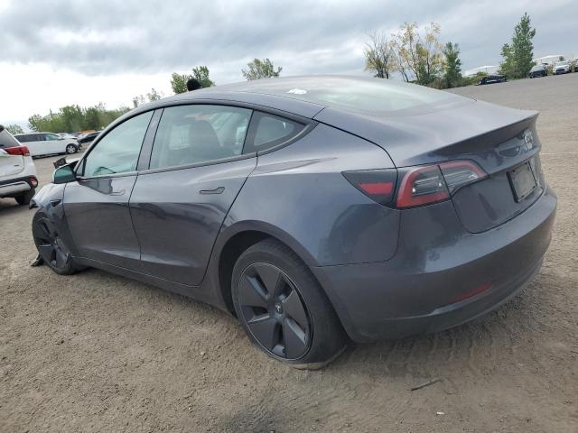 2023 TESLA MODEL 3 - LRW3E1EB1PC921969