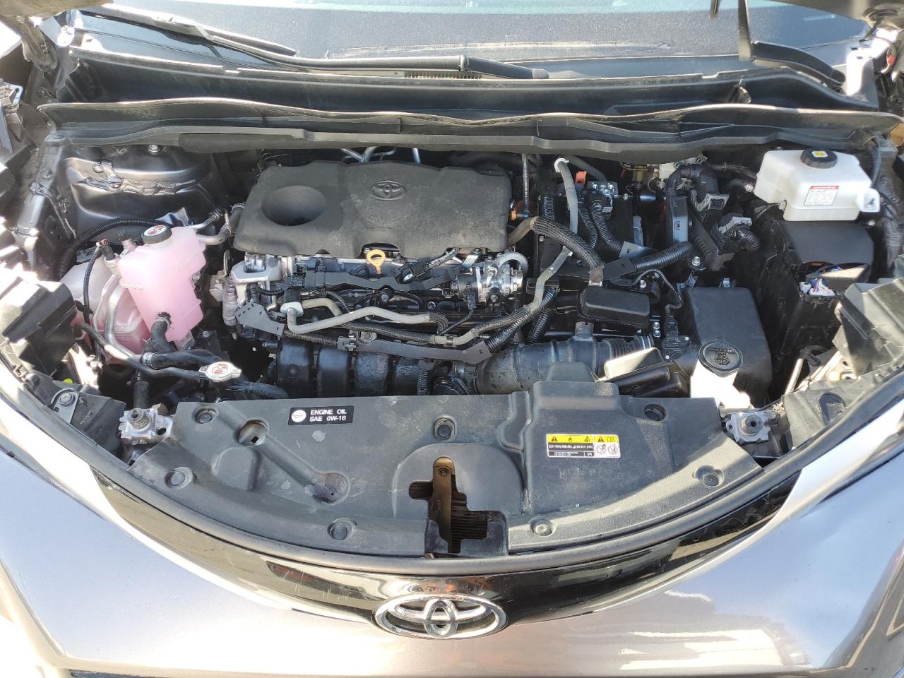 Lot #3255365404 2023 TOYOTA SIENNA LE