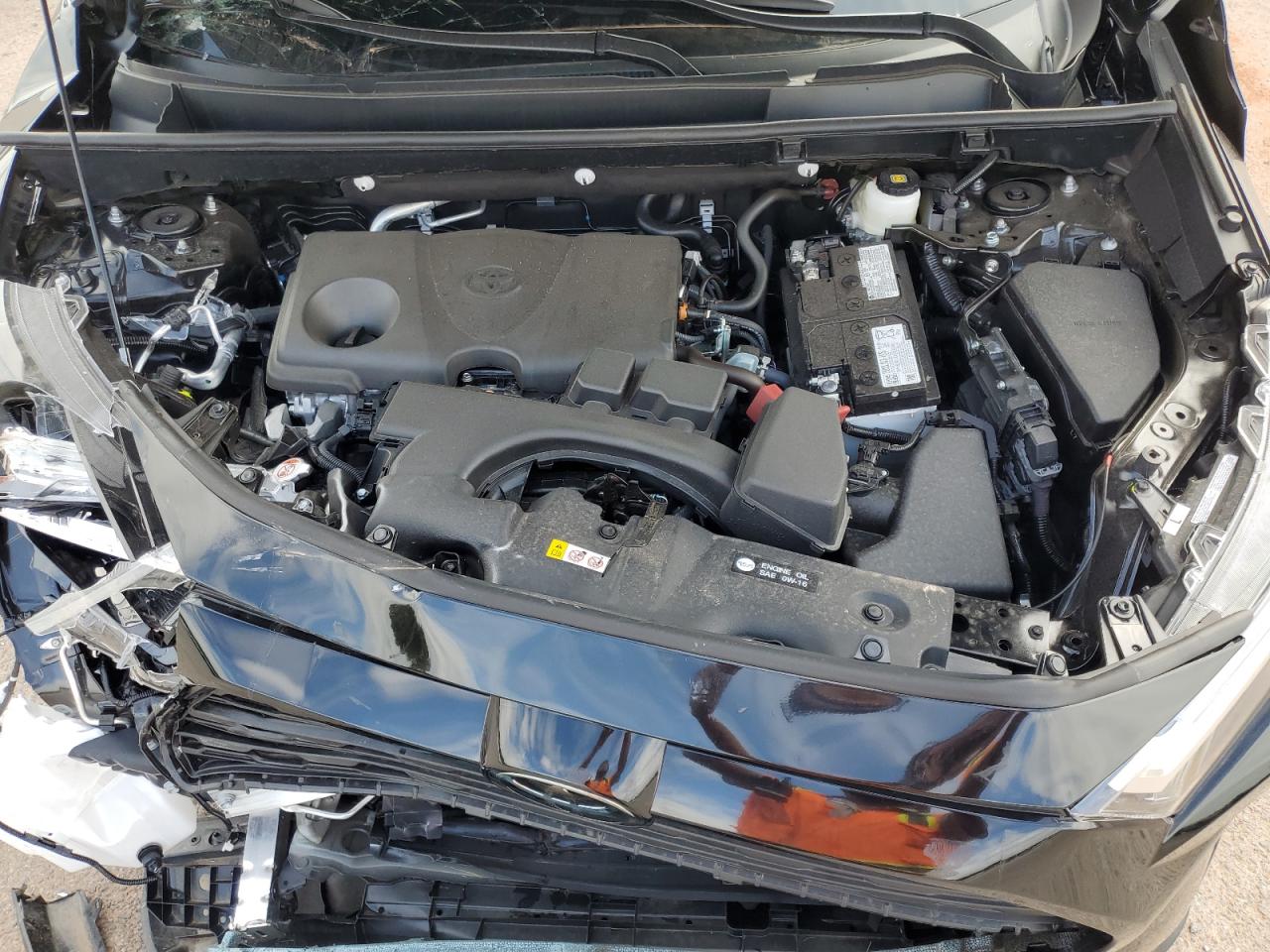 Lot #3283933816 2025 TOYOTA RAV4 XLE PREMIUM