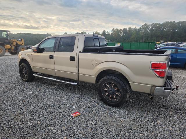 2010 FORD F150 SUPER - 1FTFW1CV0AFC80829