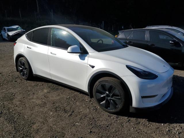 2024 TESLA MODEL Y 7SAYGDEE2RA316993
