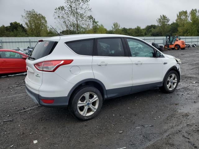 2013 FORD ESCAPE SE - 1FMCU0GX1DUC48658
