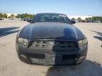 Lot #3310342965 2014 FORD MUSTANG
