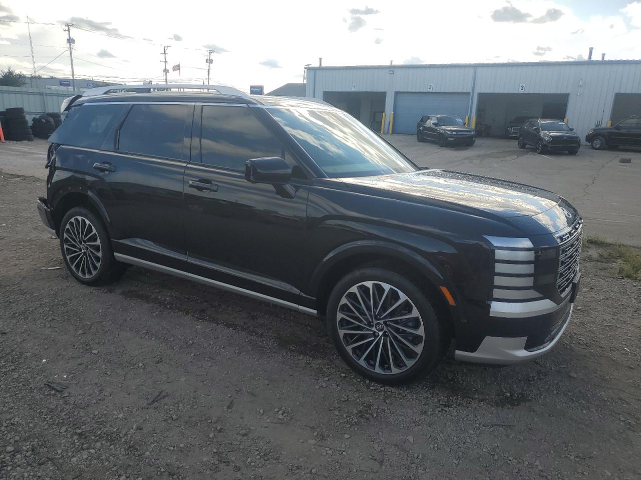 HYUNDAI PALISADE CALLIGRAPHY