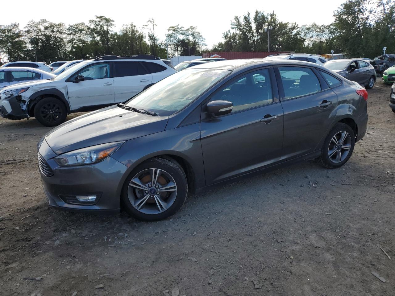Lot #3305267335 2017 FORD FOCUS SE