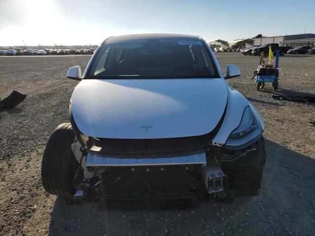 2023 TESLA MODEL Y 7SAYGDEE6PA080958