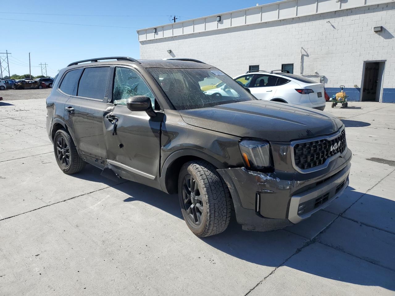KIA TELLURIDE SX
