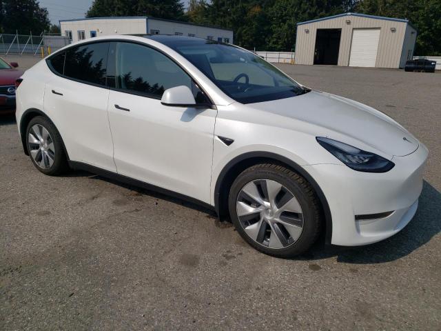 2023 TESLA MODEL Y 7SAYGDEE0PA067140