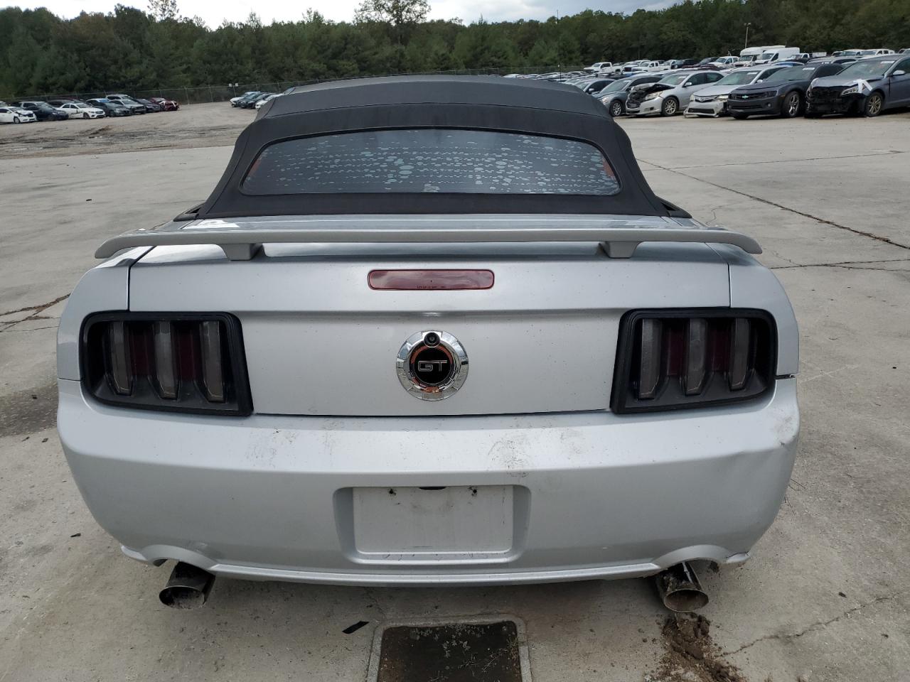 Lot #3268876220 2006 FORD MUSTANG GT
