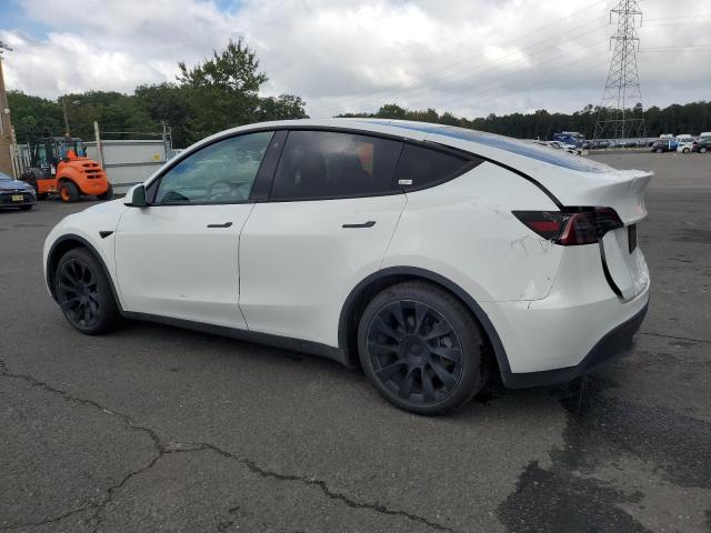 2022 TESLA MODEL Y 7SAYGAEE8NF359052