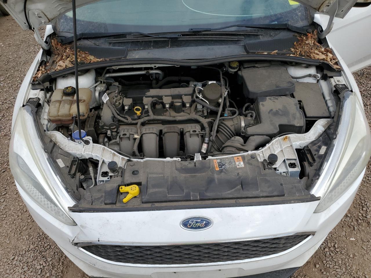 Lot #3311500239 2016 FORD FOCUS SE