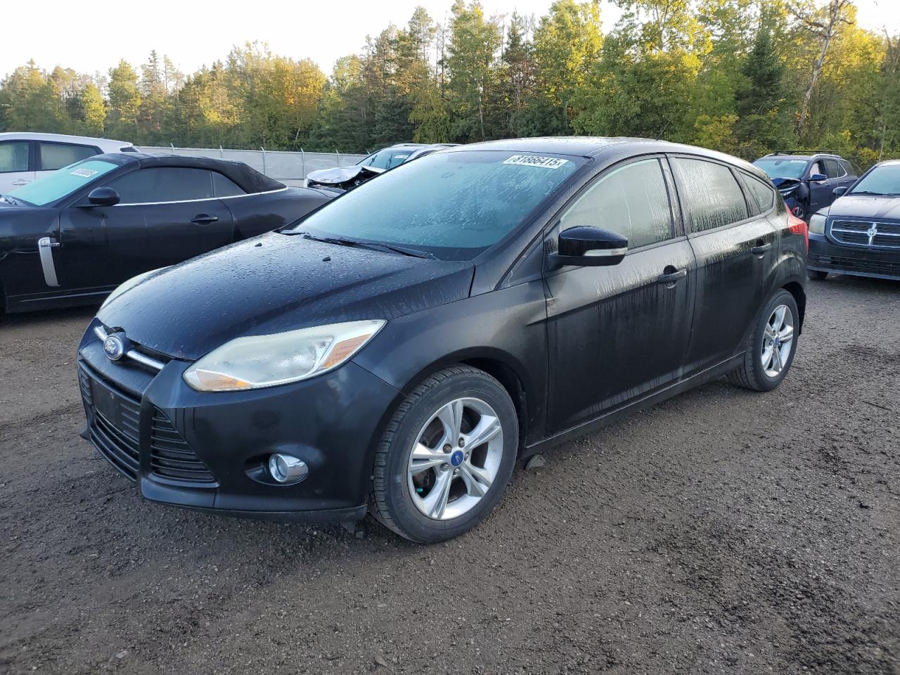 FORD FOCUS SE