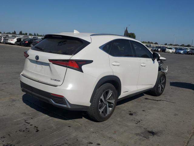 2019 LEXUS NX 300H JTJBJRBZ2K2121879