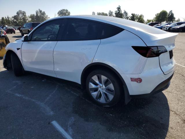 2024 TESLA MODEL Y #3284164574