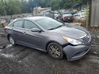 Lot #3292580857 2014 HYUNDAI SONATA GLS