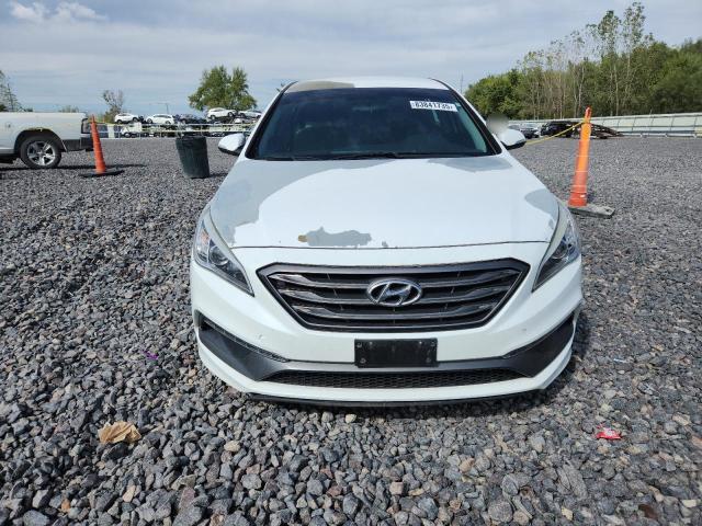 2017 HYUNDAI SONATA SPO 5NPE34AF9HH495899