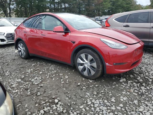 2021 TESLA MODEL Y 5YJYGDEE1MF196368
