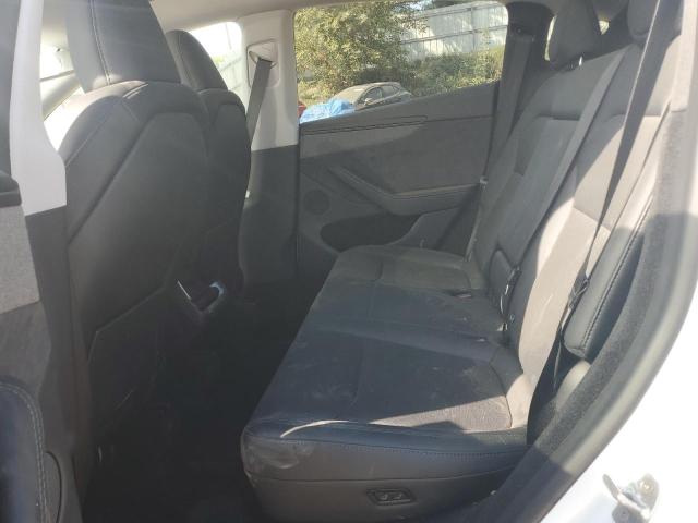 2026 TESLA MODEL Y #3292394292