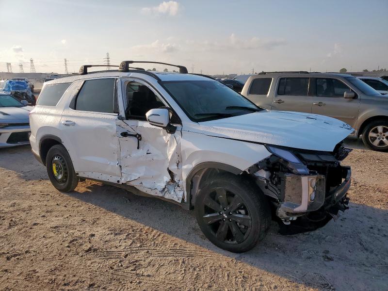 2025 HYUNDAI PALISADE X KM8R34GE5SU901847