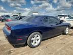 Lot #3295437955 2014 DODGE CHALLENGER