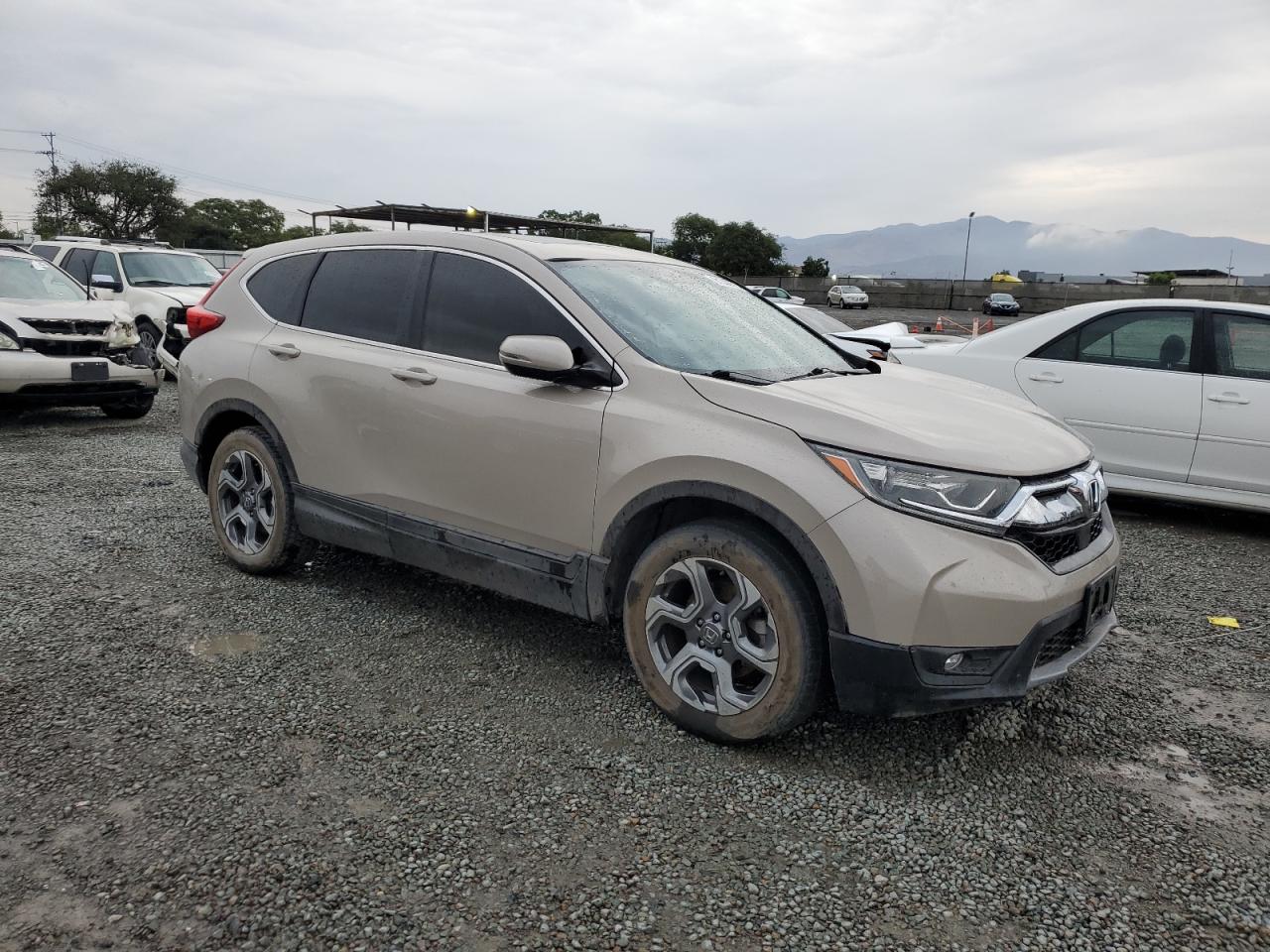 HONDA CR-V EX