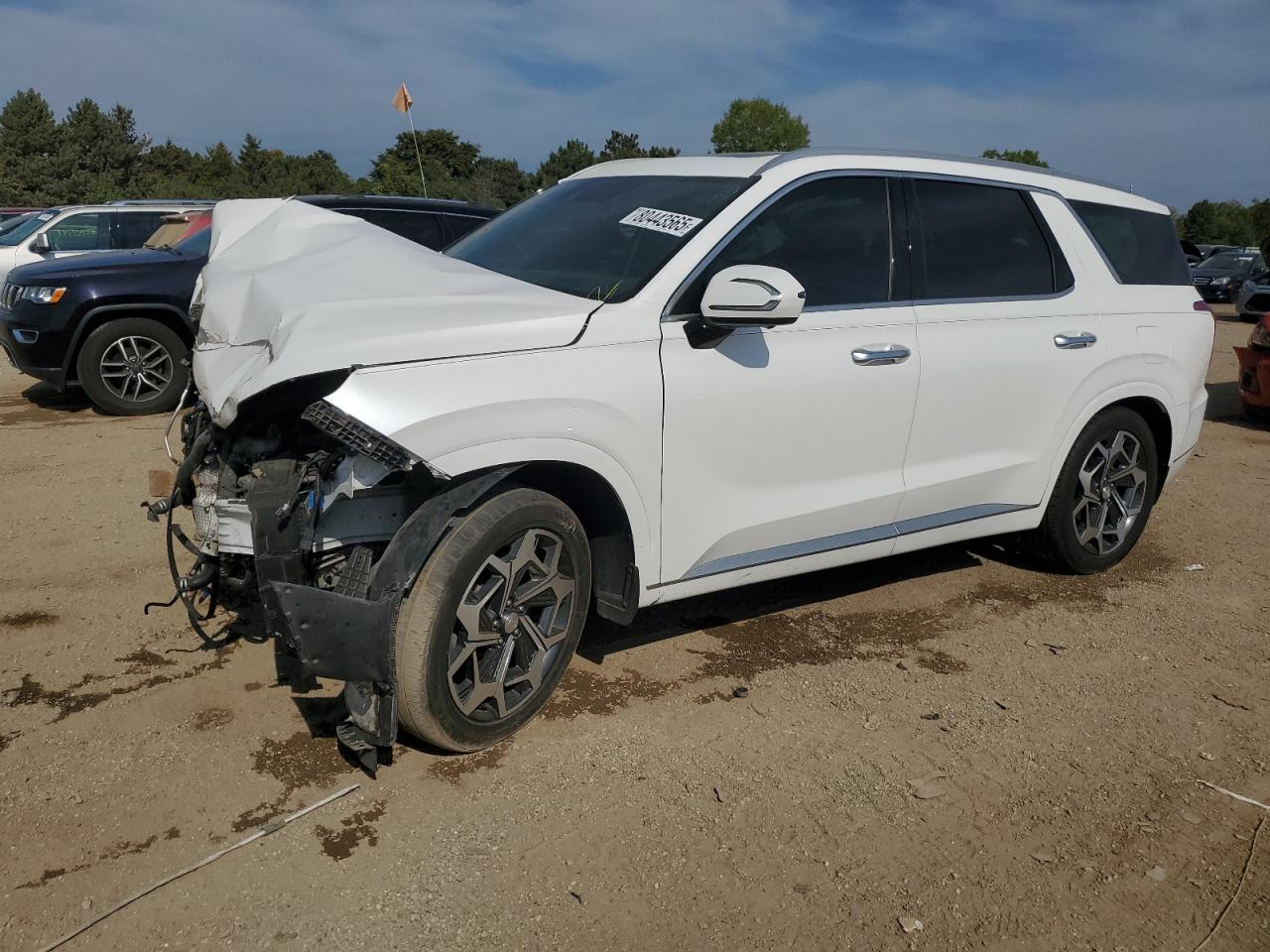 HYUNDAI PALISADE CALLIGRAPHY