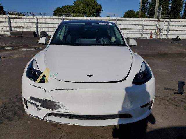 2023 TESLA MODEL Y 7SAYGDEE4PF792520
