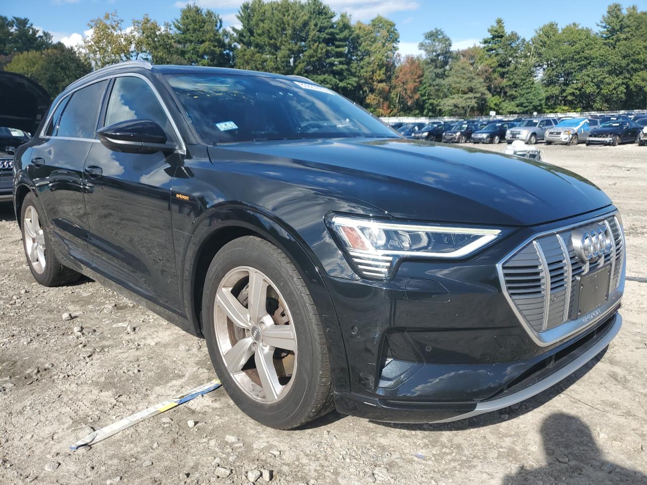 AUDI E-TRON PREMIUM PLUS