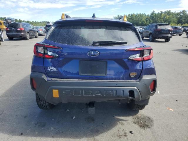 2025 SUBARU CROSSTREK WILDERNESS #3269890144
