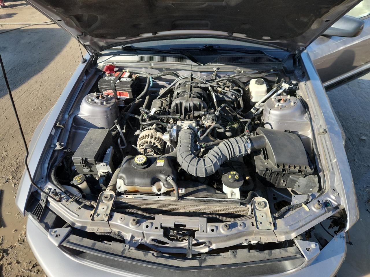 Lot #3311755734 2007 FORD MUSTANG