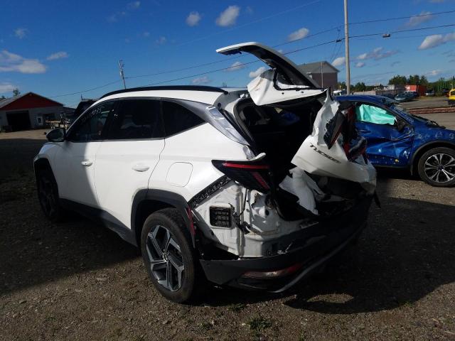 2022 HYUNDAI TUCSON LUX KM8JCCA10NU016344