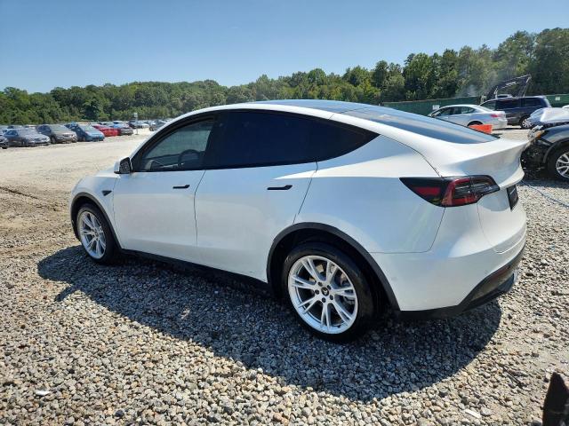2020 TESLA MODEL Y 5YJYGDEE1LF034996
