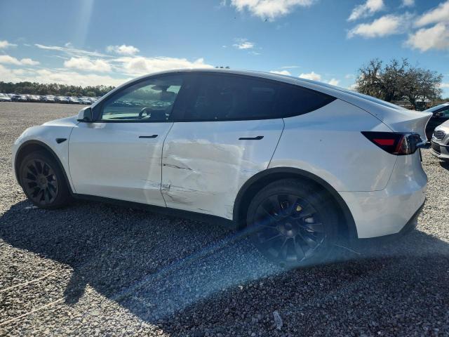 2024 TESLA MODEL Y - Other View