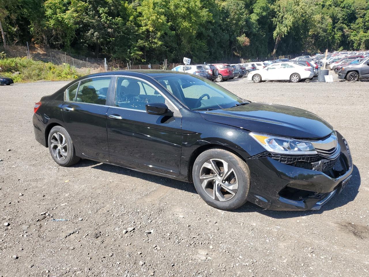 Lot #3235686942 2016 HONDA ACCORD LX