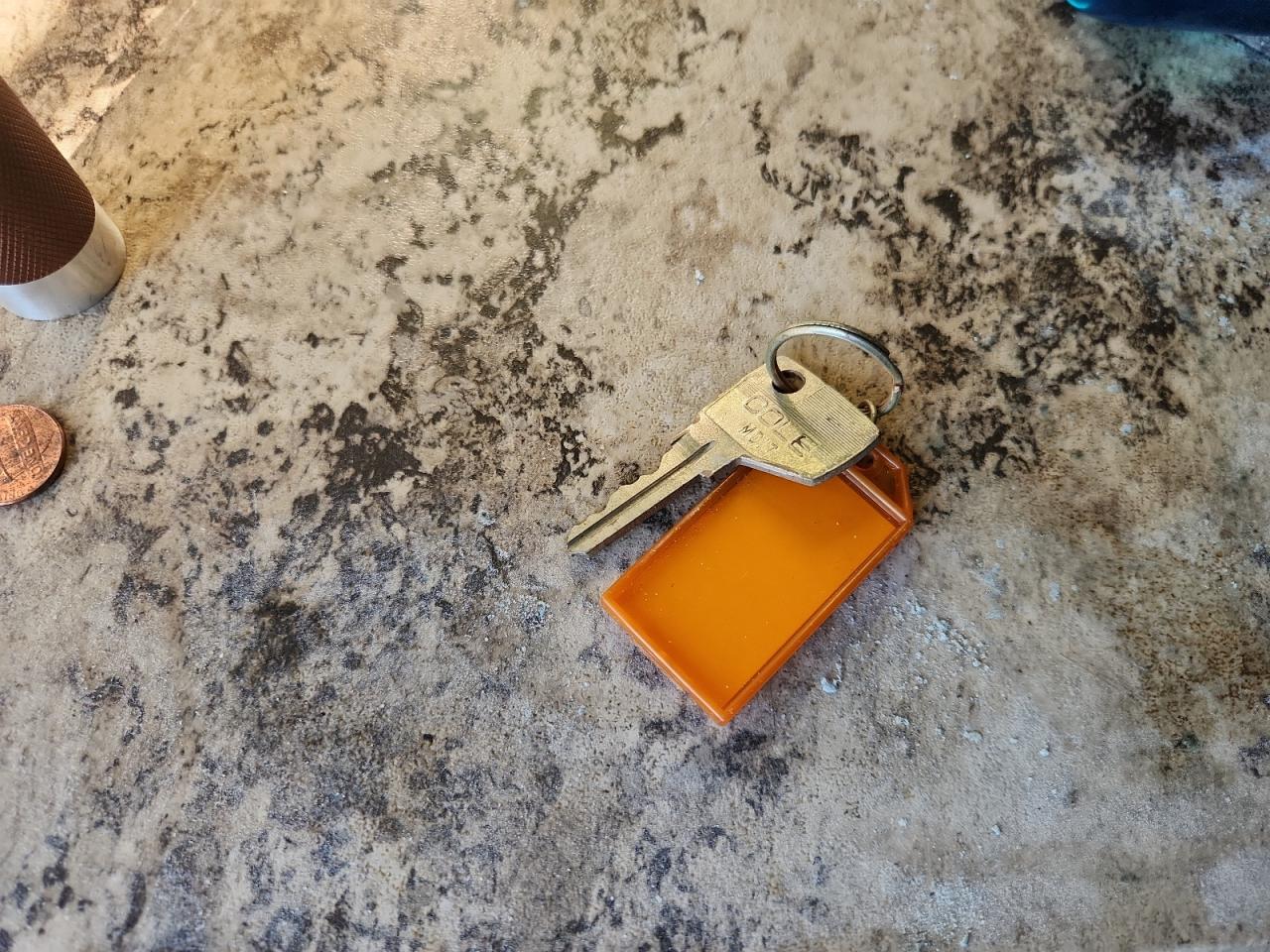 Lot #3286706303 2015 WILDWOOD GREY WOLF