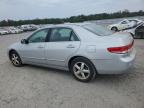 Lot #3296998826 2003 HONDA ACCORD EX