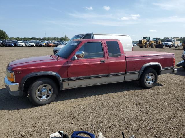 DODGE DAKOTA