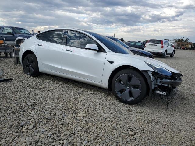 2023 TESLA MODEL 3 #3311762309