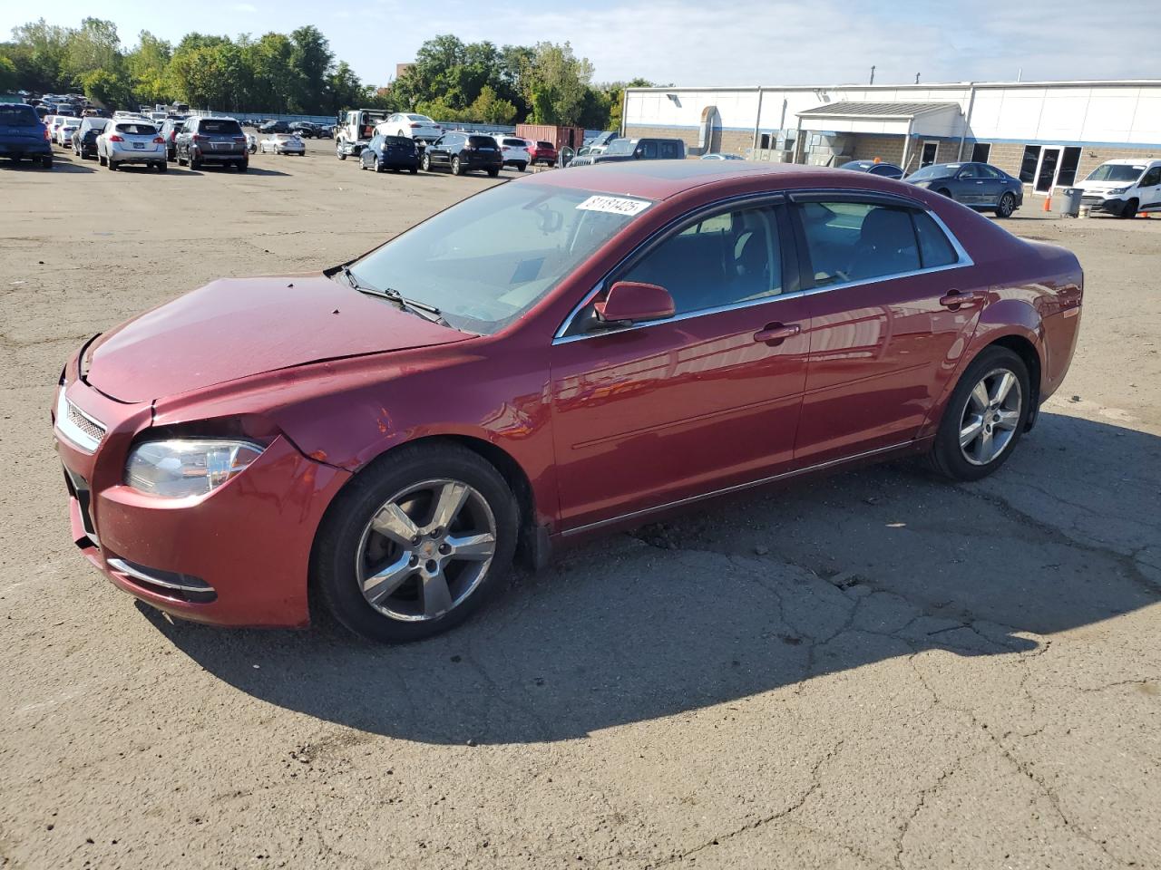 CHEVROLET MALIBU 1LT
