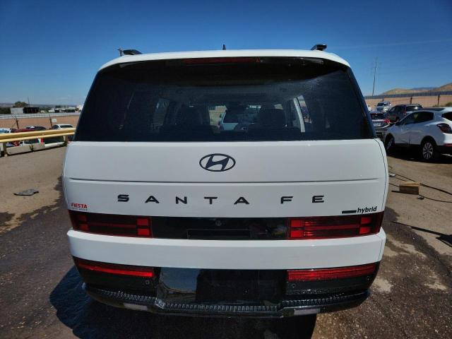 2025 HYUNDAI SANTA FE C 5NMP5DG12SH018251
