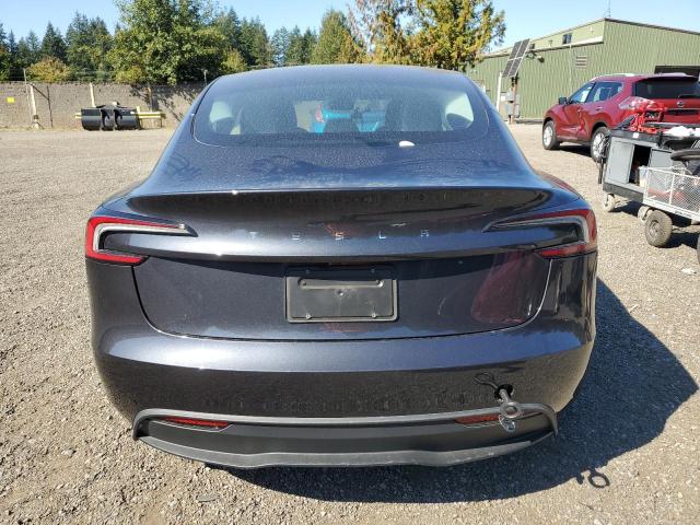 2025 TESLA MODEL 3 #3304864537