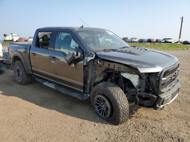 2019 FORD F150 RAPTO - 1FTFW1RG3KFD22002