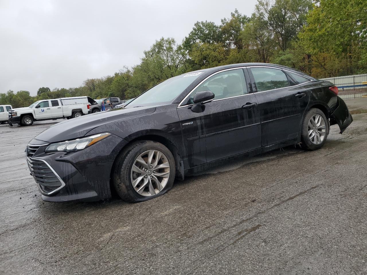 TOYOTA AVALON XLE
