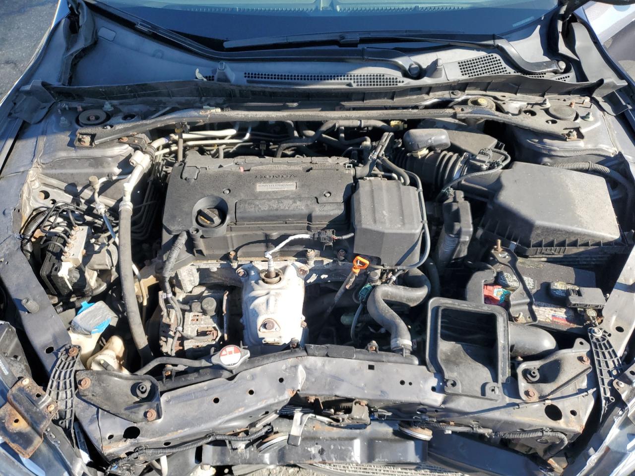 HONDA ACCORD SPORT SPECIAL EDITION