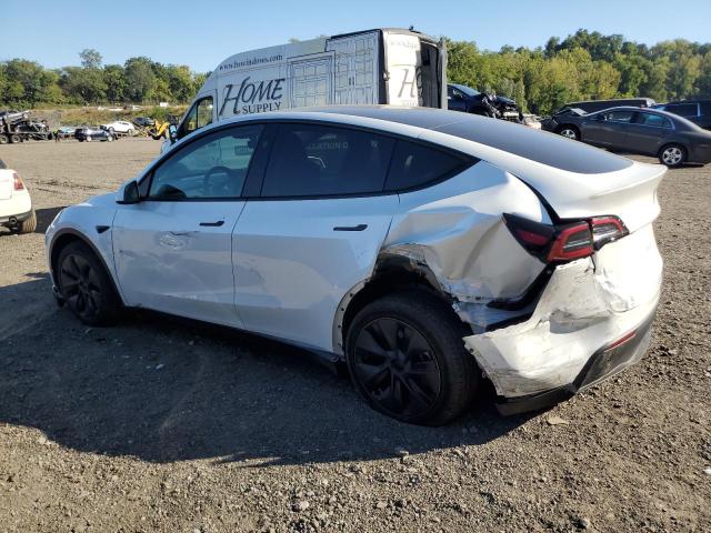 2024 TESLA MODEL Y 7SAYGDEE2RA316993