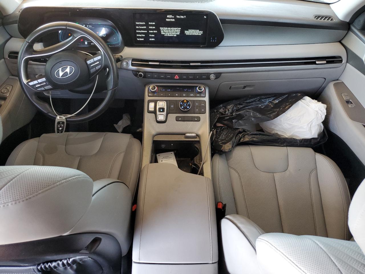 HYUNDAI PALISADE SEL